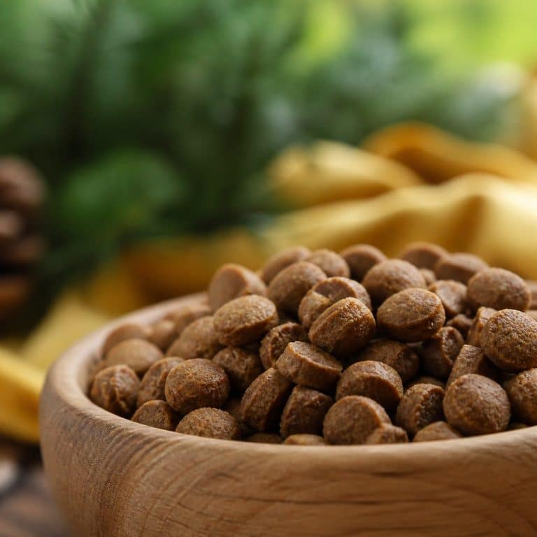 Croquettes naturelles pour chien : ce que signifie une composition « sans additifs »