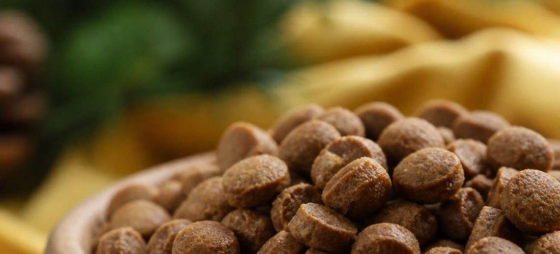 Croquettes naturelles pour chien : ce que signifie une composition « sans additifs »